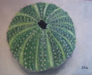 "Green Sea Urchin"