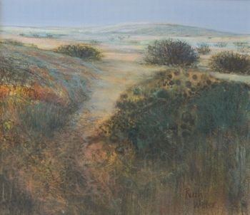 "North of Swakopmund"