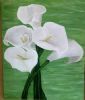 "Arum Lily"