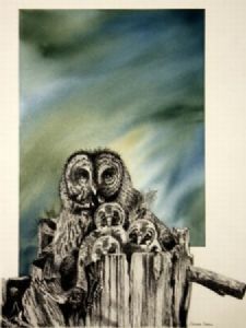 "Owls"