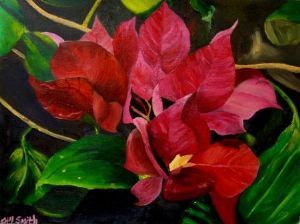 "Bougainville"