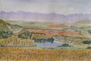 "Glory of the Vines, Paarl Valley"