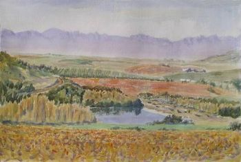 "Glory of the Vines, Paarl Valley"