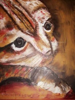 "Lovely Cat"