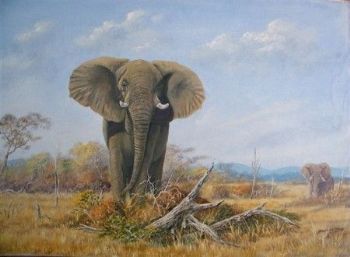 "The Bull Elephant"