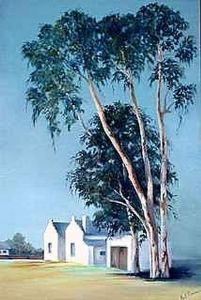 "Karoo Summer"