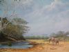 "Shingwedzi Kruger National Park"