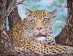 "Leopard Looking Back"