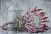 "Protea with Milk bottle2"