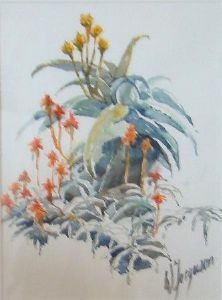 "Aloes"