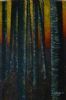 "Silver Birches 2010"