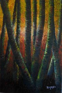 "Silver Birches 2011"