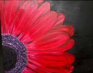"Gerbera"