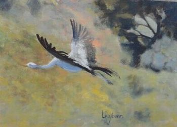 "In Flight"