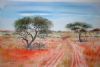 "Kalahari road"