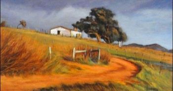 "Around Napier"