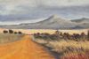 "Back Roads of Napier"