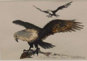 "Eagle"