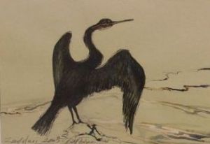 "Cormorant Zandvlei Trust 2003"