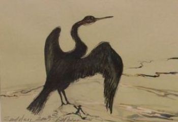 "Cormorant Zandvlei Trust 2003"