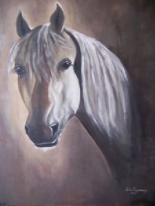 "Arabian Horse After Reem"