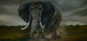 "Elephant Bull"