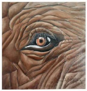"Eye Elephant"
