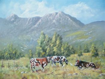 "Grazing cows George W Cape"