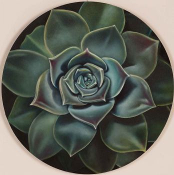 "Bloom in the Desert I"