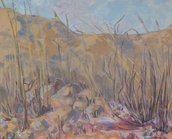 "After the Bushfire"