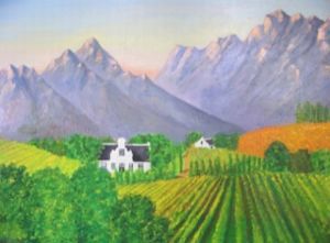 "Wingerde in die Boland"