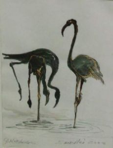 "Flamingo Zandvlei 2003"