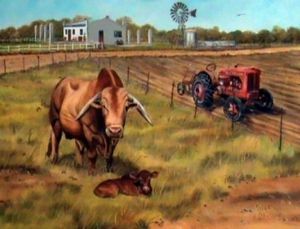 "On The Farm - Cattle"