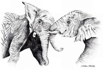 "Elephant Tussle"
