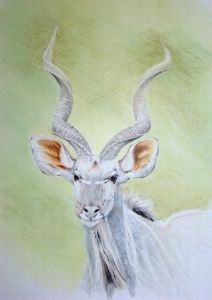 "Kudu Head"