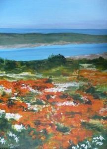"Daisy Carpet Langebaan 1"