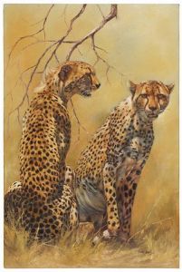 "Cheetah Pair"