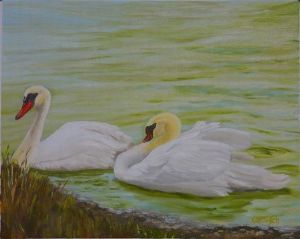 "Swans"