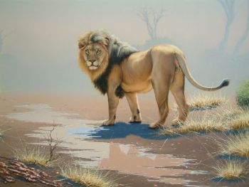 "King Leo 002 close up view"