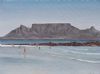 "Table Mountain from Big Bay"