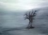 "Desolation"