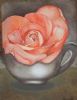 "Cup Rose"