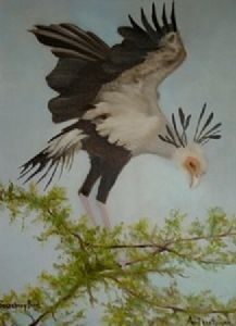 "Secretary Bird"