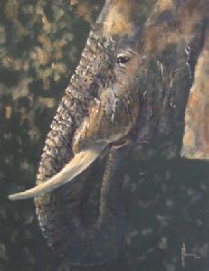 "Elephant"
