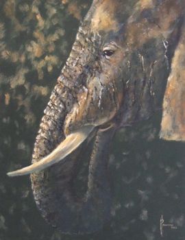 "Elephant"