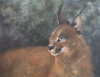 "Caracal"