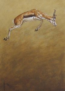 "Springbuck"