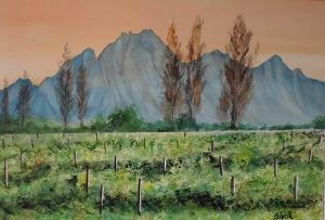 "Cape Winelands"