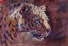 "Leopard Portrait"