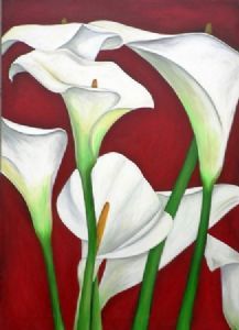 "White Arum Lilies Against Scarlet"